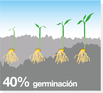 AGPSAC